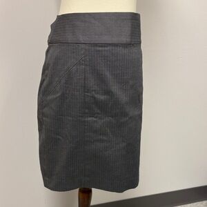 Gray Pinstripe Women's Skirt